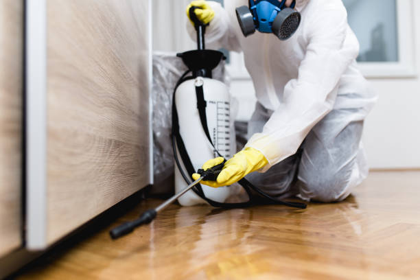 Best Mosquito Control Services  in Bridgeport, IL