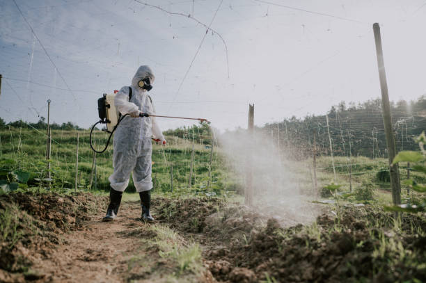 Best Mosquito Control Services  in Bridgeport, IL