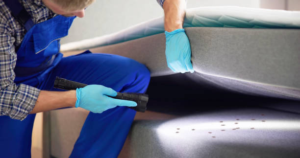Best Flea Control Services  in Bridgeport, IL
