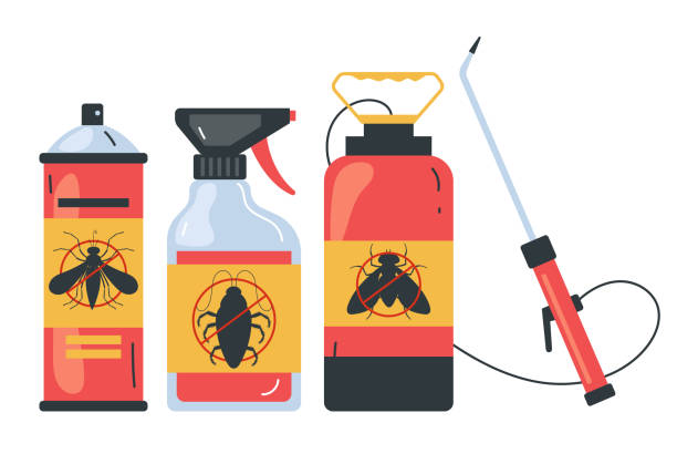 Best Rat Extermination Near Me  in Bridgeport, IL